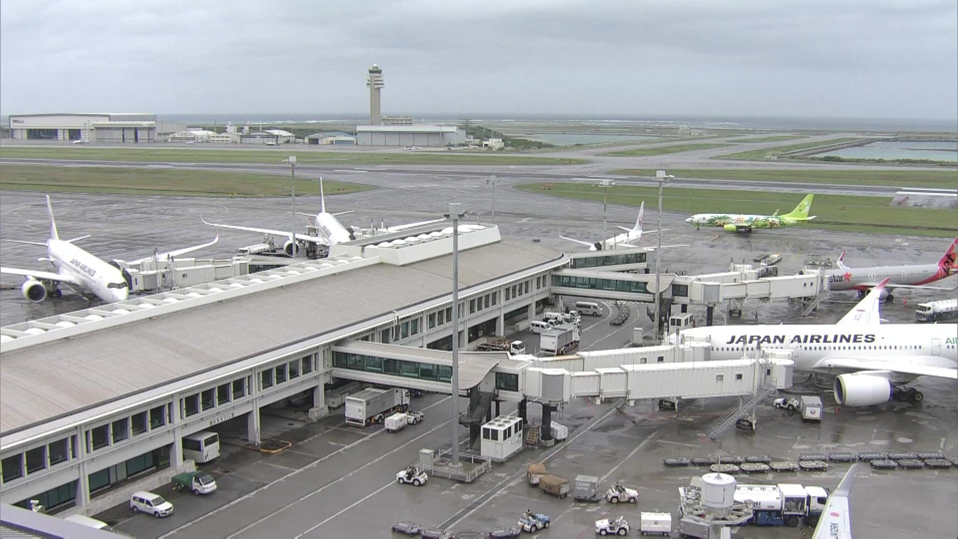 台風6号の影響で6月1日はANAで104便、JALで67便の欠航決定　2日もANA那覇発着12便の欠航決まる