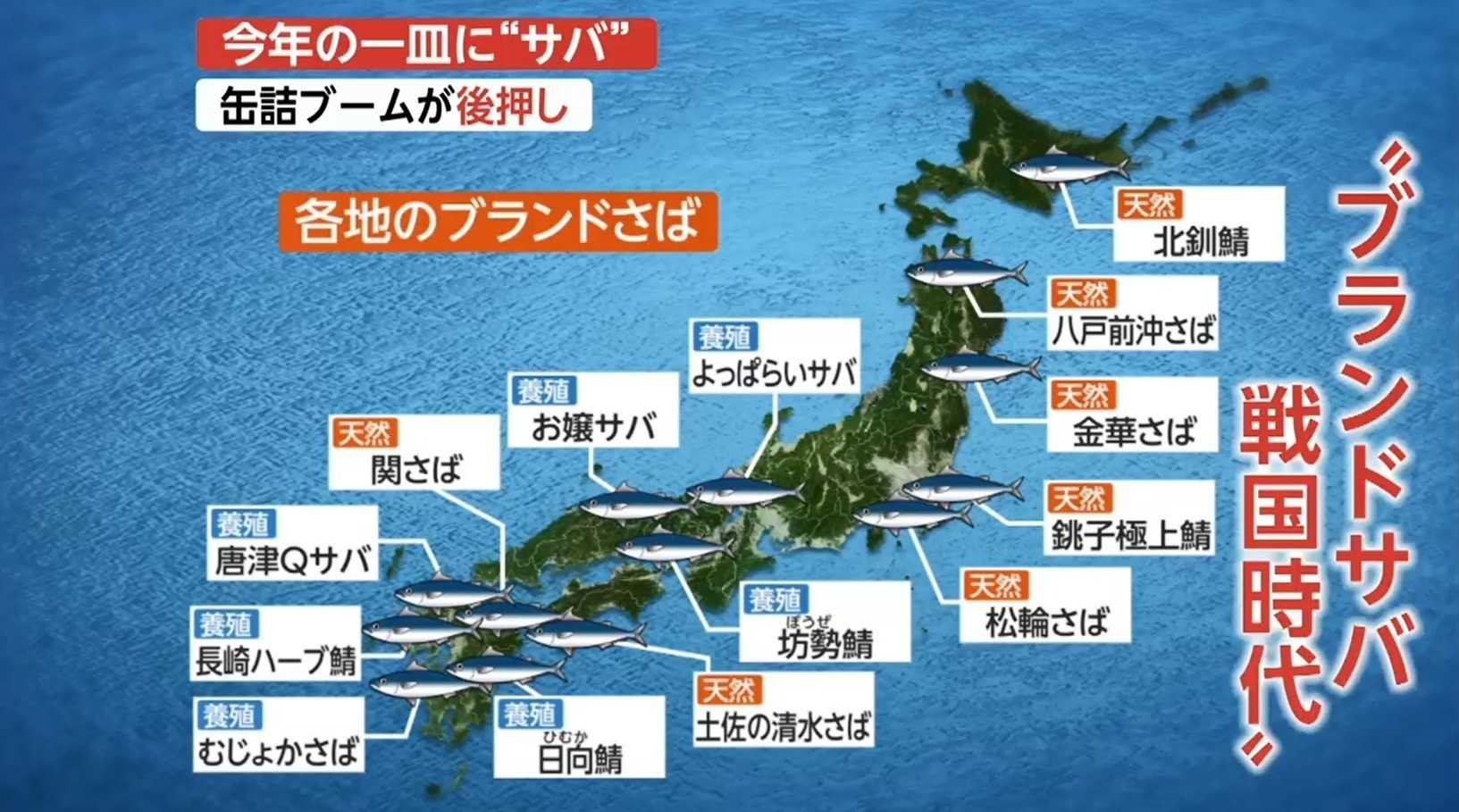 あなたはいくつ知っている ブランドサバ乱立で世は サバ戦国時代 へ