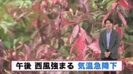 【北海道の天気 14日(水)】午後は雨がやんでも西風強まる　道北沿岸は暴風に警戒を！気温は急降下…18以降は広く15℃下回る