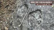 ジュラ紀の恐竜のナゾを解き明かす鍵に　国内最大の足跡化石を福島・南相馬市で発見　学芸員も大興奮