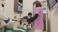 新たな国家資格「愛玩動物看護師」4月から導入　ペットに寄り添った動物医療を提供【福岡発】