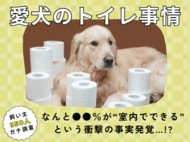 【飼い主350人に調査】犬のトイレ事情が激変！●●％が“室内トイレ派”という衝撃データ