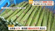 太くて甘～い最上町のアスパラガス出荷最盛期　ひょう・霜・強風乗り越え417トン出荷見込む　山形
