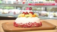 マリトッツォの次に来るスイーツは 「ズコットケーキ」と「クルトシュ」か…“海外発”で“SNS映え”【北海道発】