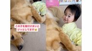 「優しいのぉ～」赤ちゃんを傷つけないようジッと“固まる”犬の姿に心温まる…関係性を飼い主に聞いた