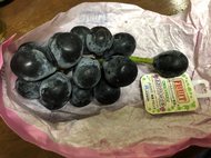 「ぶどうの枝を斜めに切って“一粒刺しておく”と長持ちする」投稿が話題…ぶどう農家に確かめてみた