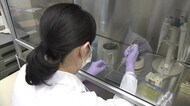 新型コロナ 新たな感染者ゼロ 福井市の中学校関連はPCR検査162人【福井】