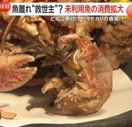 「知られていないだけでおいしい」ヤドカリにどんこ…未利用魚の消費拡大で魚離れの“救世主”に「へんな魚ボックス」も人気