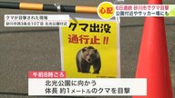 【ヒグマ最新情報】北海道砂川市で“6日連続”クマ＿公園やサッカー場にも出没＿近くの小学校は安全確保のため保護者による児童送迎・屋外活動は原則中止「ヒグマ注意報」は1ヵ月延長へ