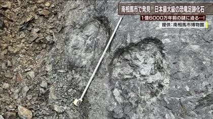 ジュラ紀の恐竜のナゾを解き明かす鍵に　国内最大の足跡化石を福島・南相馬市で発見　学芸員も大興奮