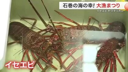 宮城でイセエビも！石巻の海の幸が集結「大漁まつり」イカやカニの競りに大盛況