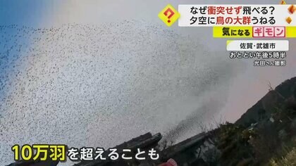 空を覆いつくす“黒いかたまり”　正体は“鳥の大群”　動体視力が非常に優れ衝突せずに飛行　佐賀・嬉野市