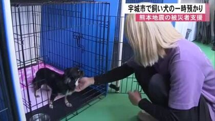 「飼い犬を救うことは生活再建中の人も救う」宇城市で被災者の「ペット一時預かり」【令和８年熊本地震】