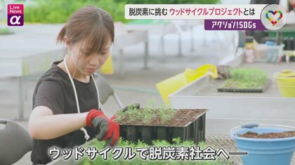 脱炭素に挑む　｢ウッドサイクルプロジェクト｣とは