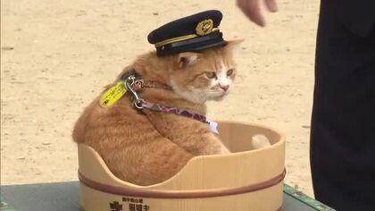 備中松山城の猫城主「さんじゅーろー」高梁署一日署長に　命を守る山岳救助訓練“見守る”【岡山・高梁市】