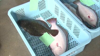 処理水の海洋放出から2年　いま福島県の漁業は　中国などで続く県産品の輸入規制　廃炉完了まで続く不安