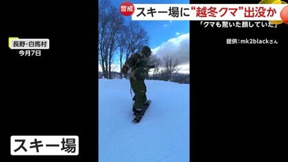目が合った」クマがスキー場に出没“猛ダッシュ”で追いかけられる