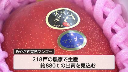 2025年マンゴー　終了致しました。 マンゴー食べてにっこり」2025年の『太陽のタマゴ』は甘い！ みやざき