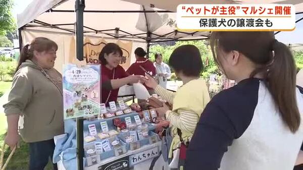 保護犬と食をテーマにしたマルシェ開催