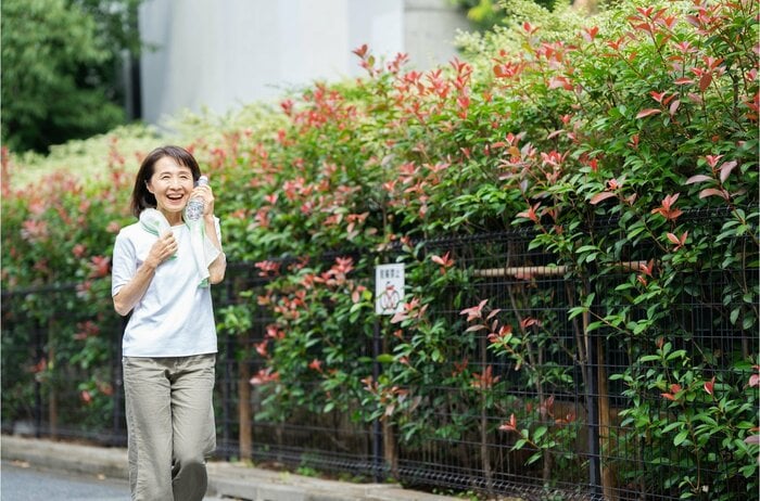 (イメージ)