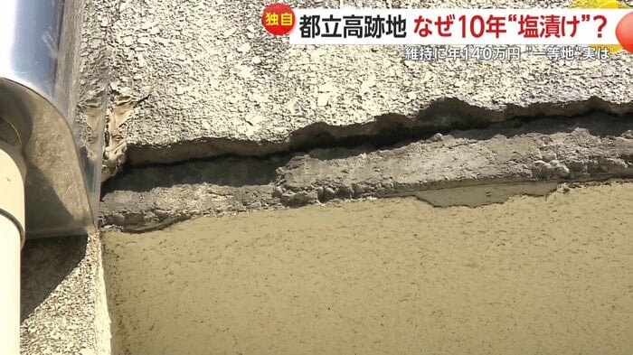 外壁はあちこちに損壊が目立つ