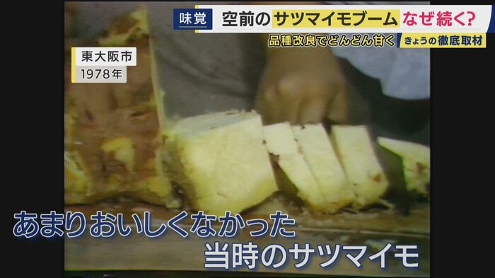 50年前のジャンボなサツマイモ