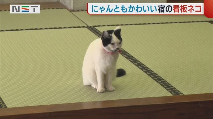 碧水荘で出迎えてくれるのは…