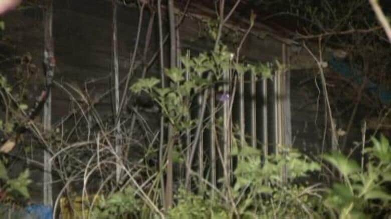 【詳報】東伊豆町で立てこもりか　強盗致傷事件をめぐり警戒中に廃小屋から物音…中に入ると男が刃物を向けてきたため拳銃構える　銃刀法違反の現行犯で逮捕｜FNNプライムオンライン