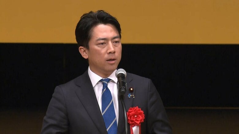 「自民は明確な旗を」小泉進次郎氏　「野党の言うこと飲むだけは積極的な応援は得られない」　“連立論”も言及｜FNNプライムオンライン