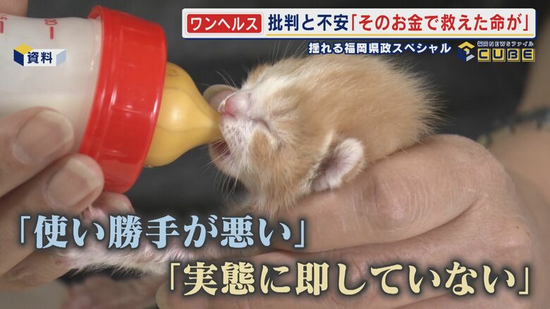 ｢そのお金で救えた命が…｣ 揺れる現場の思い   蔵内元議長が旗振り役の『ワンヘルス』事業   凍結事業は1億3千万円 行革審始まる  【福岡発】｜FNNプライムオンライン