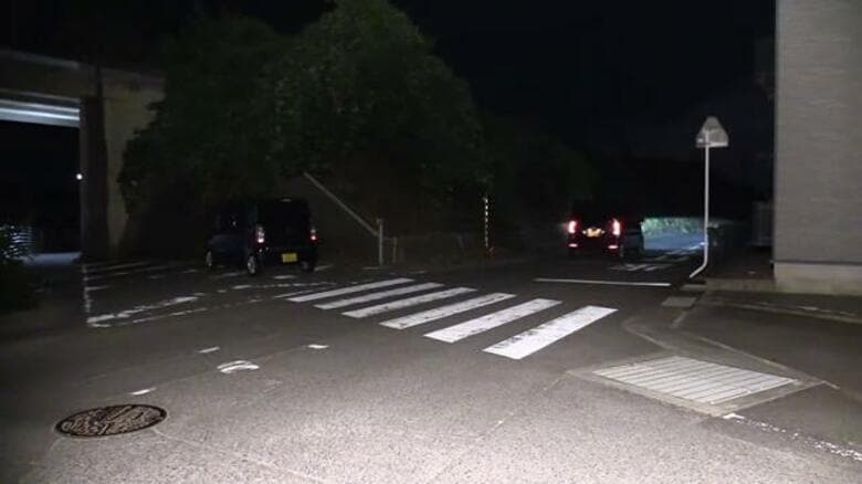 下校中の横断歩道で…小学生の7歳男の子が車にはねられ全身を打つケガ 車は走り去りひき逃げ事件として捜査｜FNNプライムオンライン