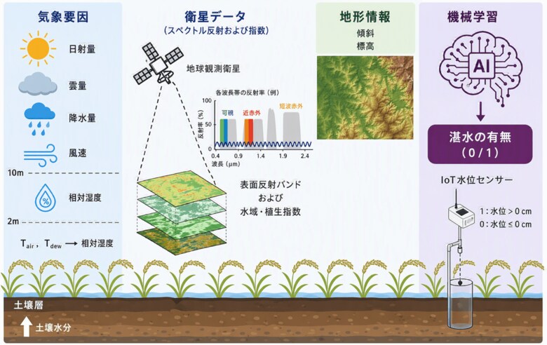 水田の“見えない表面水”を可視化 クレアトゥラ、衛星データ×AIで表面水検出精度を2倍以上に