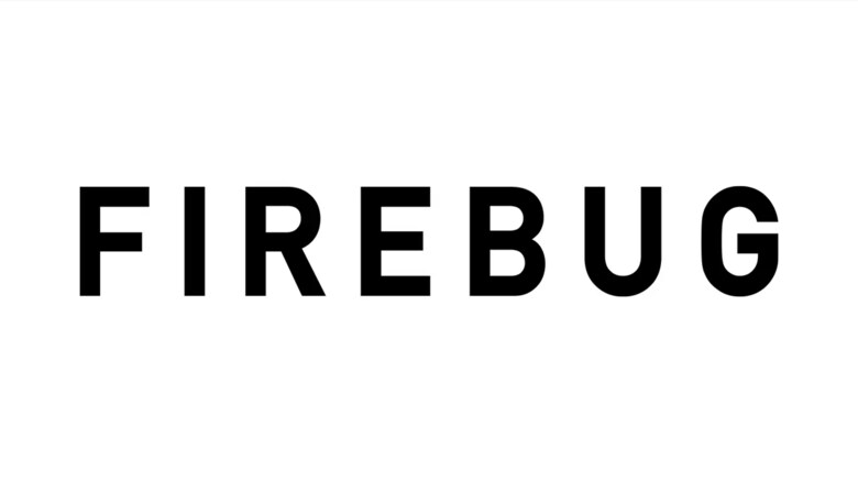 Z世代の英語学習はもはやスタンダード!?FIREBUG、英語学習に関する実態調査を実施さらに、若手世代の英語学習者はSNS上のタレント起用広告に好イメージを示す結果に