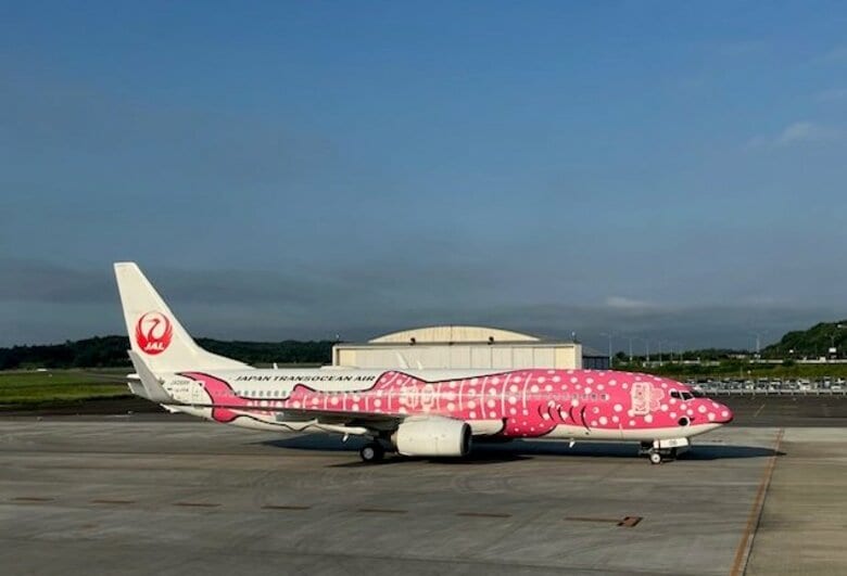【台風６号】ＪＴＡ　岡山～沖縄・那覇線　あす（６月１日）欠航　中国地方では広島と岩国発着便も欠航｜FNNプライムオンライン
