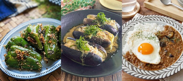 好きな夏野菜ランキング第1位は「なす」！一方で、半数以上が「傷みやすさ」、約3割が「野菜くずの多さ」にストレスを感じていることが判明