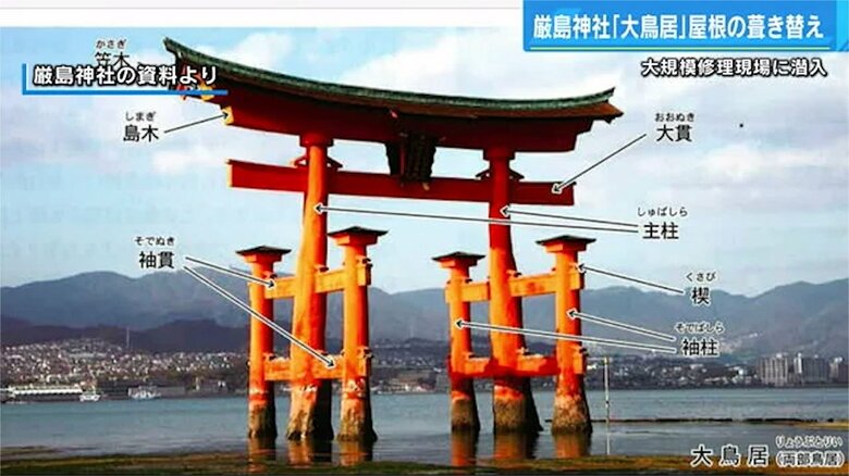 厳島神社の大鳥居の柱