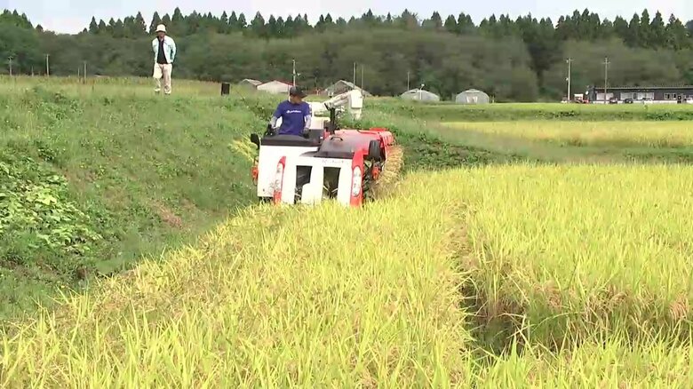県立農業大学校の学生も稲刈りに
