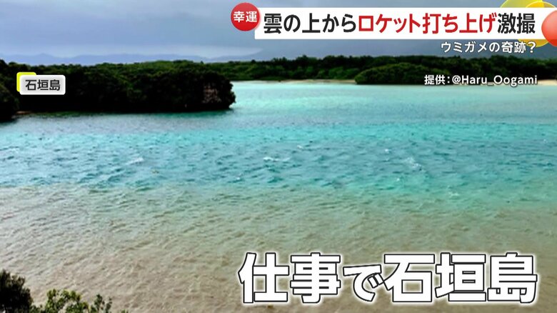 仕事で石垣島に行っていたという撮影者の男性