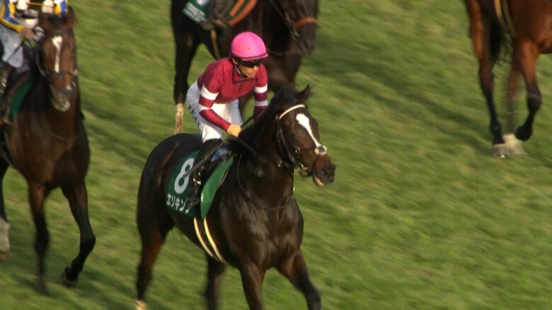 京都2歳Sを制したエリキング