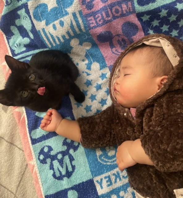 提供：ゴンゾウR4さん