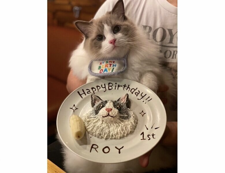1歳のお誕生日（提供：ロイくん@roy201108さん）