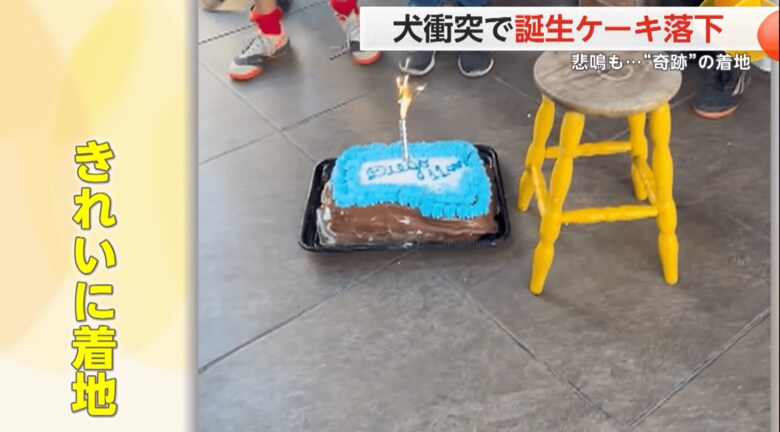きれいな状態で着地していたケーキ