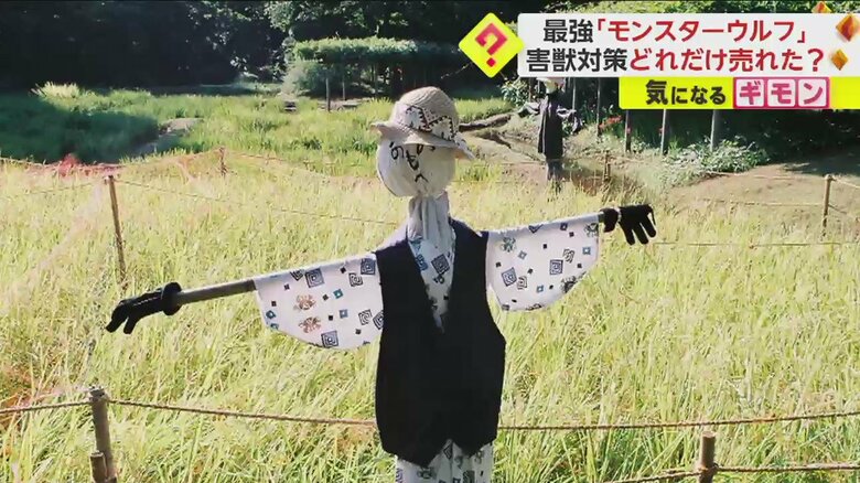 モンスターウルフは動物から畑などを守る、かかしと同じ役割を持つ