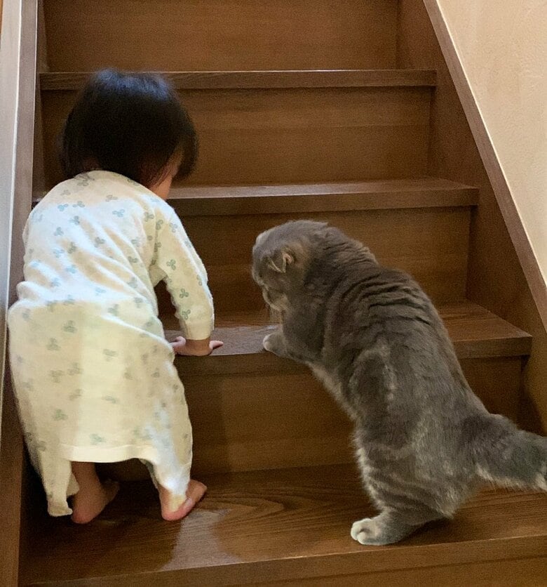 階段ののぼり方を教えたりも…