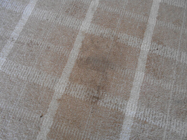 部屋の中に残されたクマの足跡（提供：北海道警）