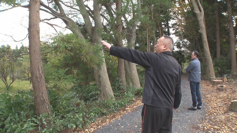 付近では数日前から目撃情報相次ぐ