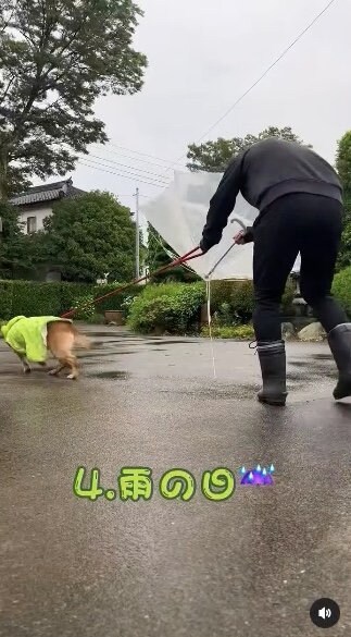 提供：タチバナさんの毎日ルーティン