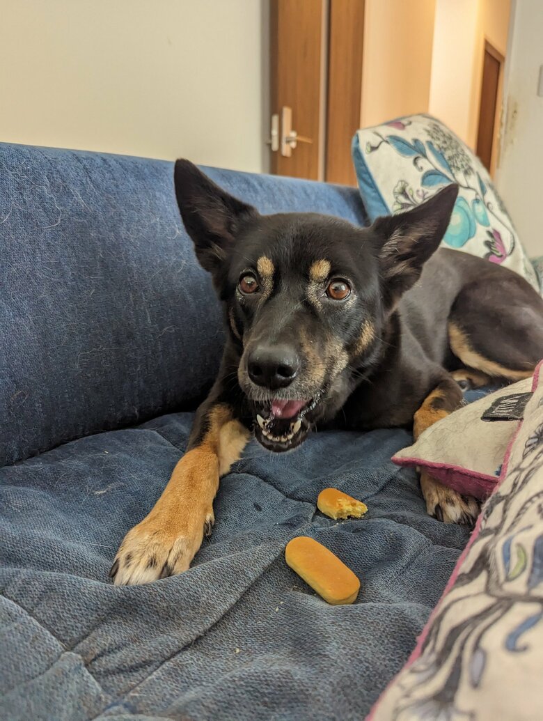 おやつを食べるソラちゃん