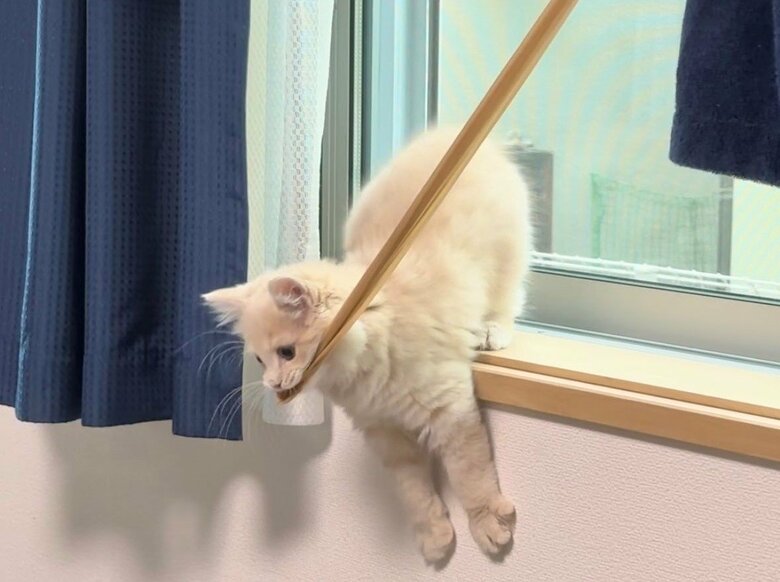 いたずらしてしまうことも