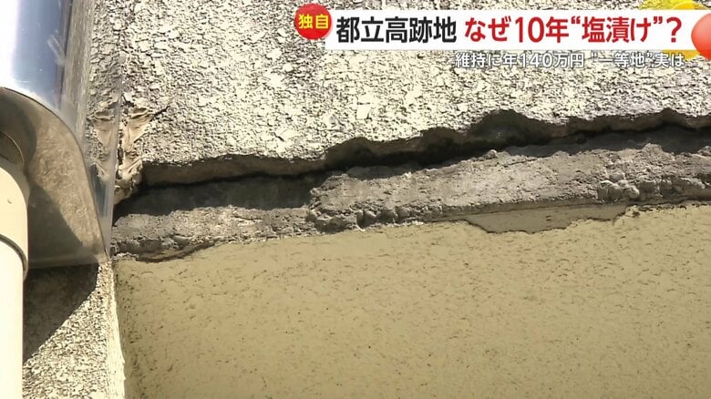 外壁はあちこちに損壊が目立つ